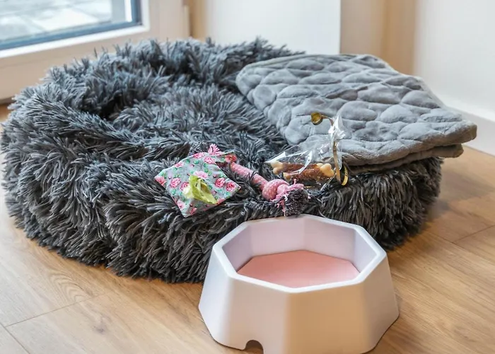 Willewatt Wohnung 1